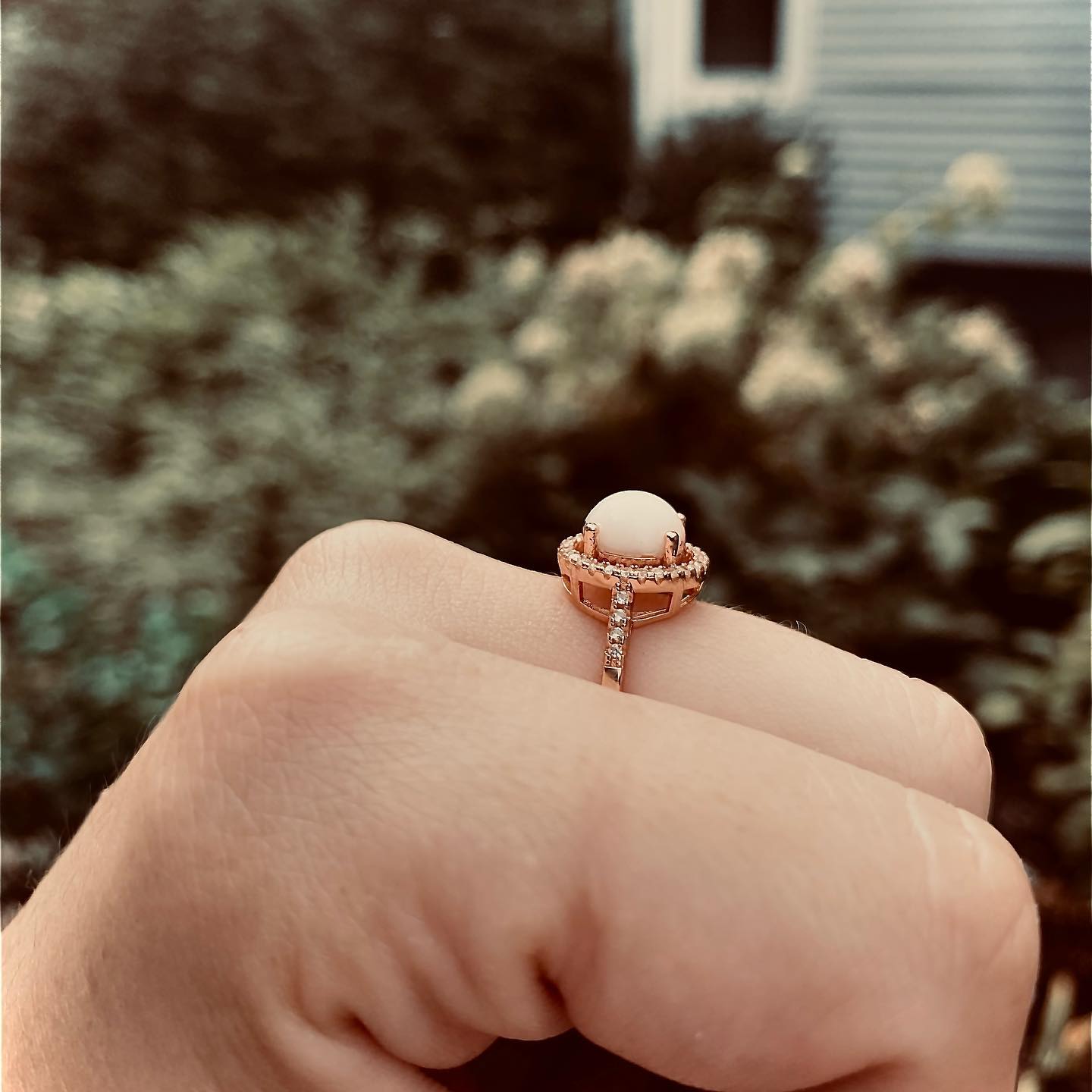 Bella Ring